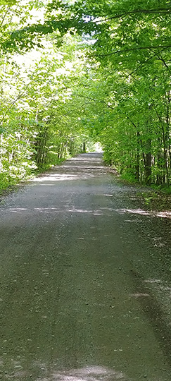 hands free urban forestry