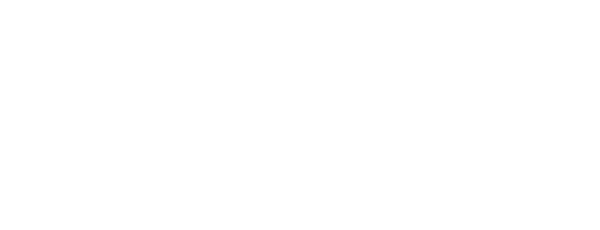 Voice Directed Tally Systems